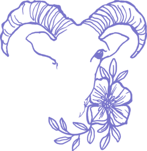  Capricorn